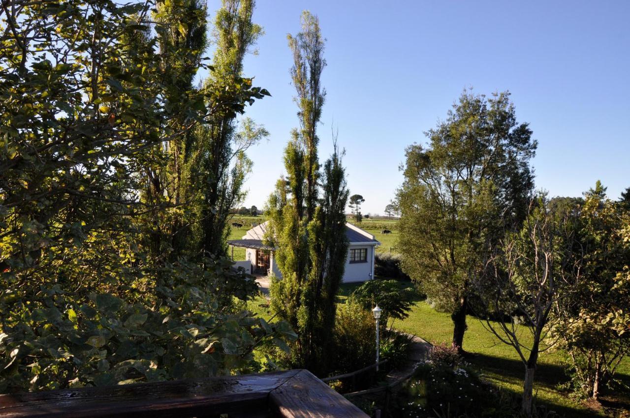 Tsitsikamma Gardens Self-Catering Cottages - Cottage #2 Sanddrif Exterior foto